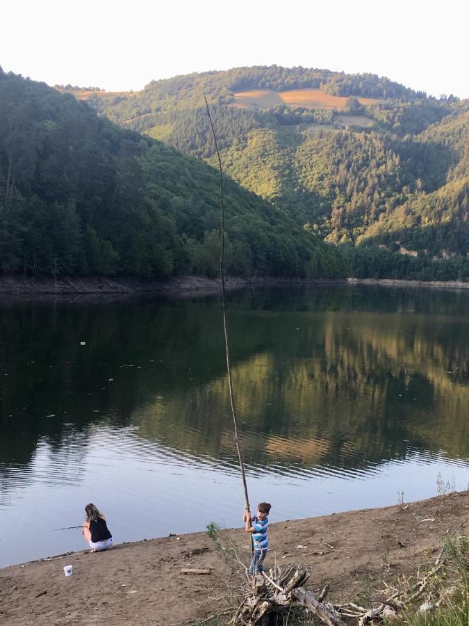 Cabana Baraj Apuseni Mountains Mihoesti Eksteriør bilde