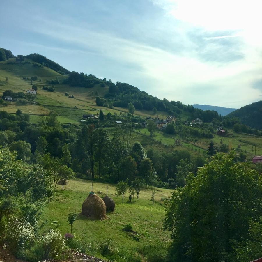 Cabana Baraj Apuseni Mountains Mihoesti Eksteriør bilde