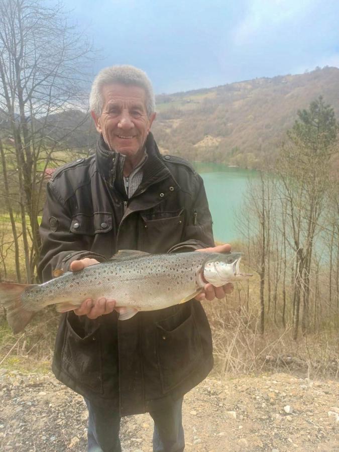 Cabana Baraj Apuseni Mountains Mihoesti Eksteriør bilde