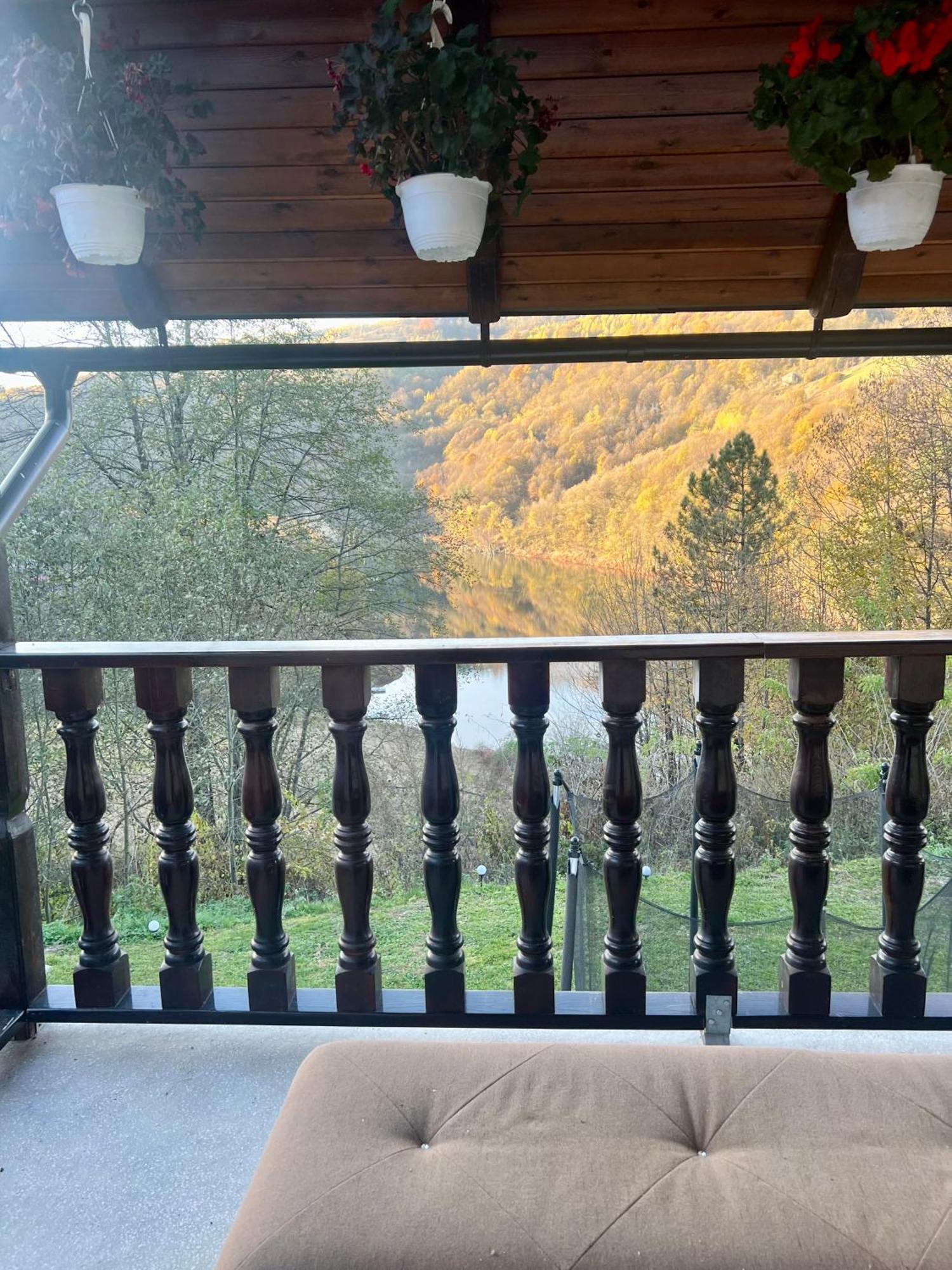 Cabana Baraj Apuseni Mountains Mihoesti Eksteriør bilde